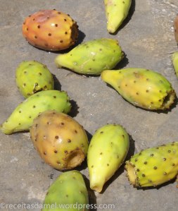 Figue de barbarie - receitasdamel.wordpress (11)