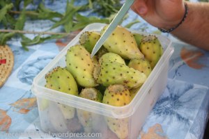 Figue de barbarie - receitasdamel.wordpress (9)